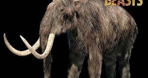 TRILOGY OF LIFE - Walking with Beasts - "Woolly Mammoth" (Mammuthus primigenius)