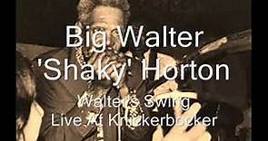 Big Walter Horton-Walter's Swing (Live At Knickerbocker)