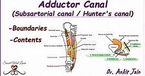 Adductor canal (Subsartorial / Hunter's canal)/ Anatomy/ Simplified- Features, Boundaries & Contents