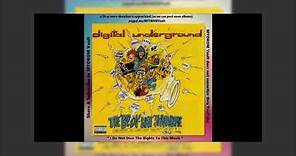 Digital Underground - The Body-Hat Syndrome 1993 Mix