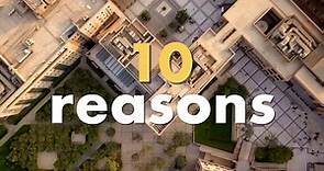 10 reasons to... - AUC The American University in Cairo