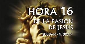 16 de 24 I Horas de la Pasión de Jesús, Luisa Piccarreta, Divina Voluntad.