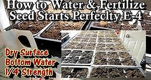 How to Water & Fertilize Seed Starts Perfectly Every Time: Starting Seeds & Transplants Indoors E-4