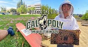 Day In The Life Of A Student Cal Poly San Luis Obispo SLO