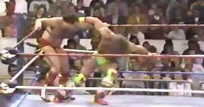 The Ultimate Warrior vs Tully Blanchard