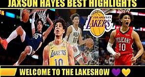 Jaxson Hayes Highlights (Lakers)