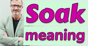 Soak | Meaning of soak