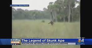 Legend Of Florida's Skunk Ape Lives On