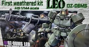 LEO - My first weathered kit