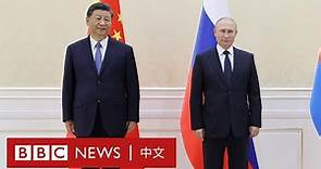 習近平與普京舉行雙邊會晤 － BBC News 中文