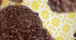 Undercover Chocolate Quinoa Crisps