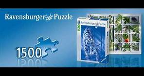Ravensburger Puzzles (1500 - 18000 pieces)