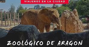 Zoológico San Juan de Aragón! Un zoológico increíble