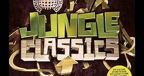 Jungle Classics - The Lighter (Original Mix)