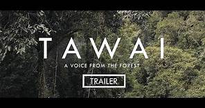 TAWAI - A voice from the forest | Trailer (Return) | A film from Bruce Parry | In cinemas Now