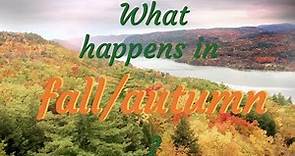 What happens in fall?