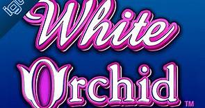 White Orchid Slot Machine ᗎ Play FREE Casino Game Online by IGT
