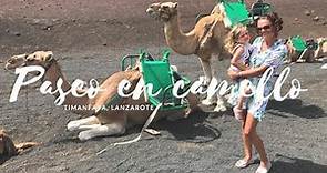 Paseo en camello en Timanfaya.