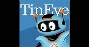 TipSheet: TinEye Reverse Image Search