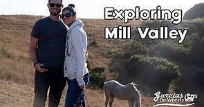 Exploring Mill Valley, California: Vlog Hiking Cascade Falls, Horse Hill Preserve