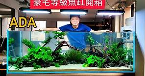 豪宅等級20萬元ADA六尺魚缸開箱 solar RGB LED吊燈 水草造景全紀錄 日本原裝進口精品水族