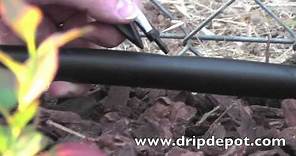 How to Setup a Drip Irrigation System for Landscapes