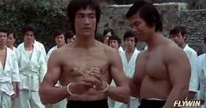 BRUCE LEE 2013 TRIBUTE | 40 Years You've Been Gone, And Yet You Remain by @FlyWinMedia