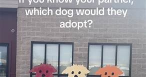 If you know your partner, which dog would they adopt from Porter County Animal Shelter in Valparaiso, Indiana! | Porter County Animal Shelter