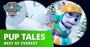 PAW Patrol - Best of Everest! Rescue Compilation - PAW Patrol Official & Friends!