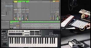 Ableton Live Looping: Two Performers