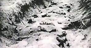 The Leathernecks Have Landed (1936) (Adventure)