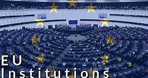 The European Union: Institutions and Functions