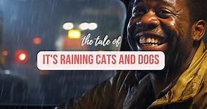 It's Raining Cats and Dogs - Story & Meaning