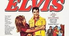 Hazme cosquillas (1965) Online - Película Completa en Español - FULLTV