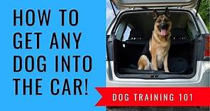How To Get A Dog Into A Car If They Wont Get In A Step by Step How To Get Your Dog Into The Car!