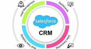 Sales Force CRM Software Kolaborasi Tim