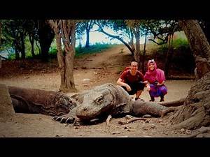 THEY ARE HUGE! | KOMODO ISLANDS SAILING TRIP PART 1