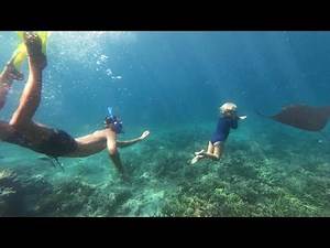 3 YEAR OLD FREE DIVES WITH MANTA RAYS, Komodo Indonesia!
