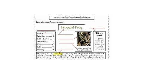 Text And Graphic Features Worksheet