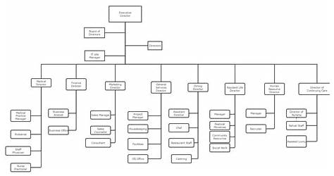 Organizational Chart Of Hospital