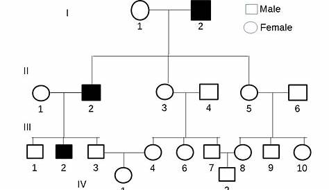 in pedigree charts autosomal recessive disorders typically