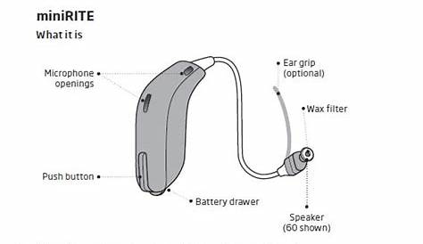 Oticon Hearing Aid Parts Diagram | Reviewmotors.co