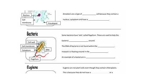 Year 7 Cells - Ppt and worksheets | Teaching Resources