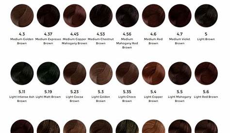 garnier nutrisse hair color shade chart