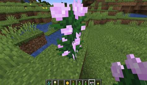 Where to find all flowers in Minecraft - Pro Game Guides