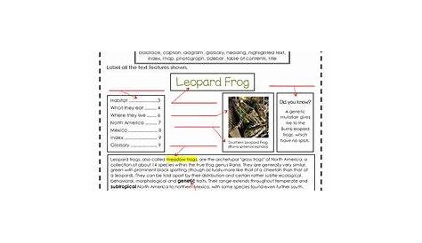 text features matching worksheet pdf