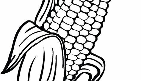 Corn Stalk Drawing | Free download on ClipArtMag