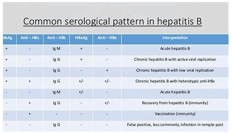 hep b serology interpretation chart