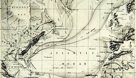 who first charted the gulf stream