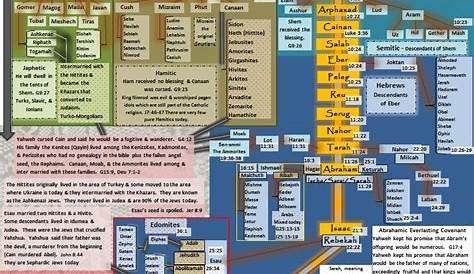 genealogy of the bible chart